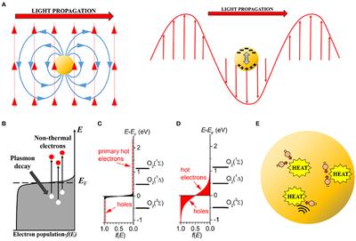 Plasmonic Hot-Electron Reactive Oxygen Species Generation: Fundamentals for Redox Biology